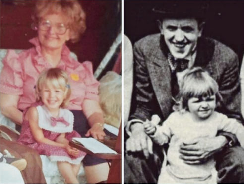 The Laurel Family