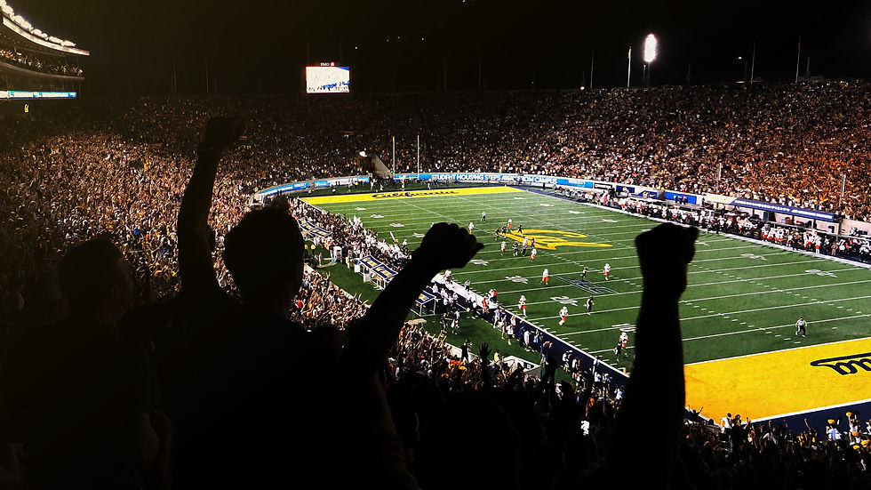 Fiscal Story Website (1).jpg