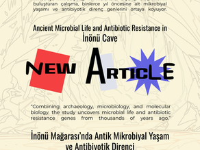 İnönü Mağarası Topraklarından Antik Mikrobiyal Ekoloji ve Antibiyotik Direncinin Kökenleri