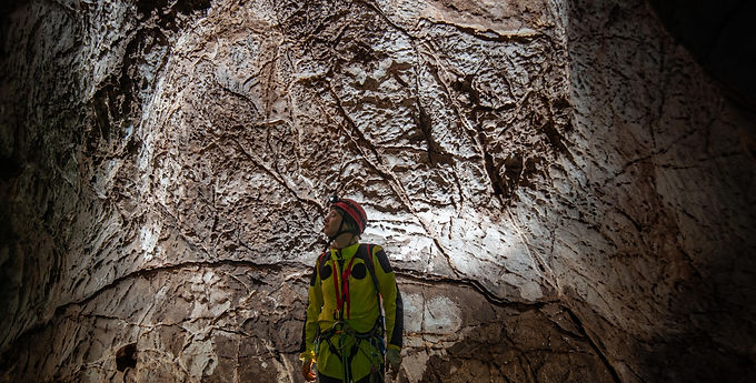 Mağara Biyoçeşitliliğinde Evrimsel İzler: Metabarkodlama ve Genomik Yaklaşımlar