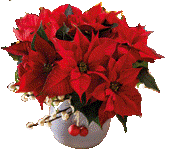 poisetta.gif