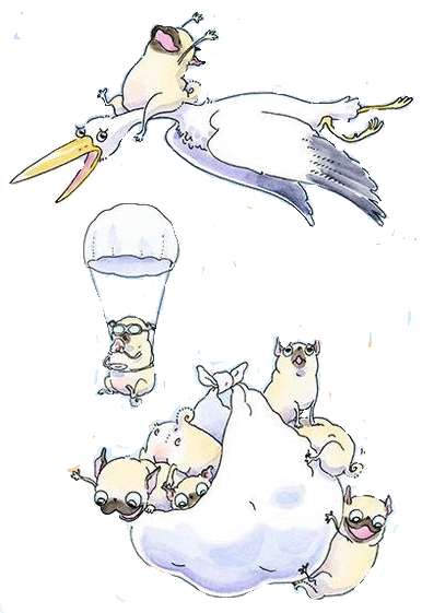 cigogne.gif
