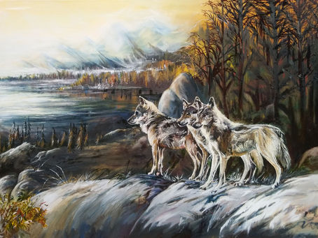 Tracking the wolves