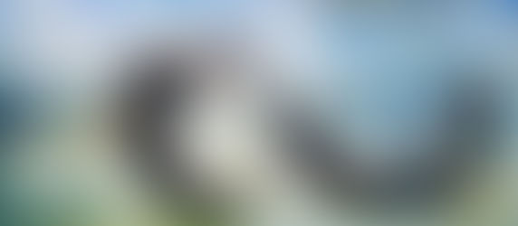 Playful Otters - in progress