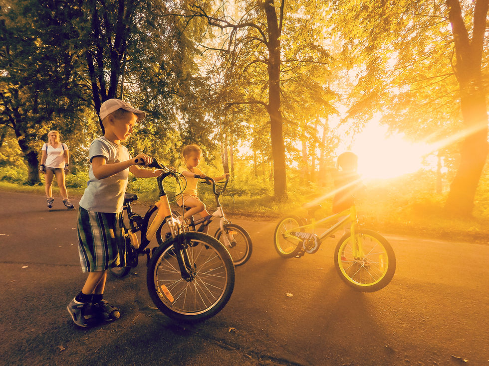 vecteezy_bicycle-family-traveling-on-the-road-at-sunset_20885026.jpg