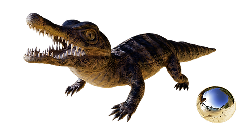 caiman_baby.png