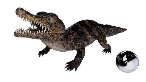 caiman_baby003.png