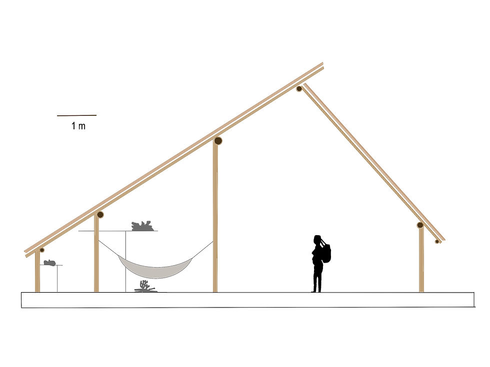 A section through the Watoriki Yanomami dwelling. (Drawing courtesy of Noerbert Schaeunauer, redrawn by author)