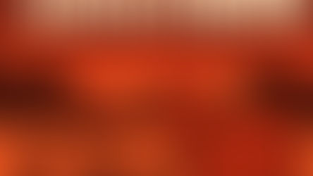 O consumo de carne e o debate que precisa ir além da floresta