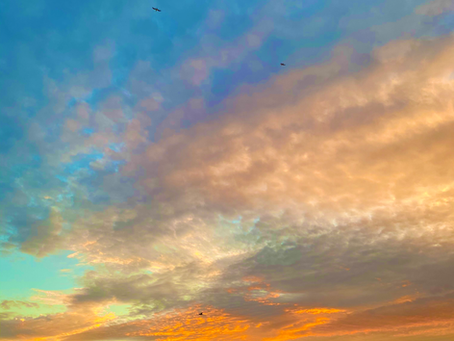 EMDR 2.0 Consultation for Effective Online Treatment