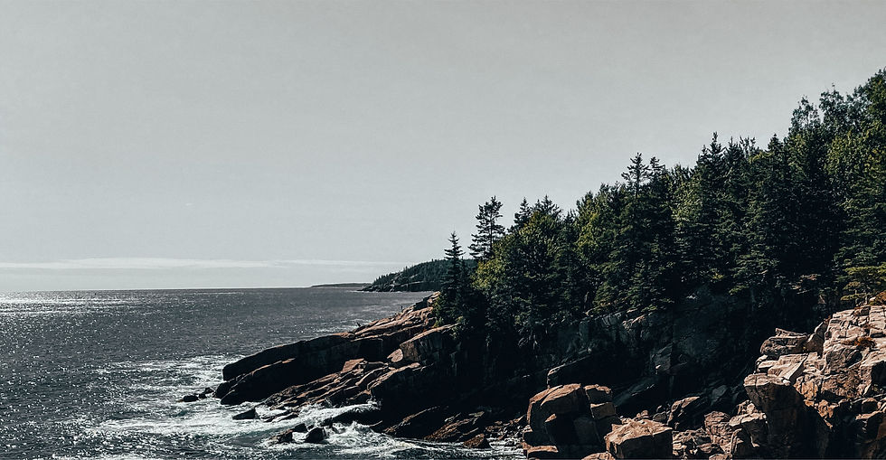 Asset 2Maine Coast lo res.jpg