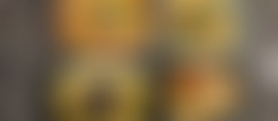 Vegetarian Meals: Bold Flavor, Strong Protein, Zero Compromise