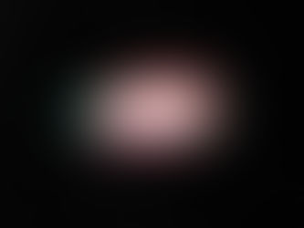 LE MANIFESTAZIONI DELLE GERARCHIE