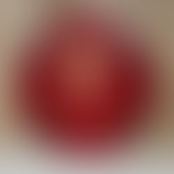 Fire Department Award