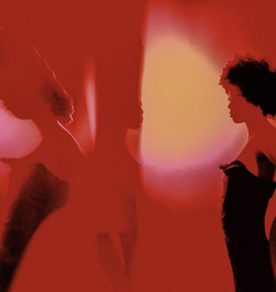 Screen Shot 2023-11-07 at 1.42.20 PM