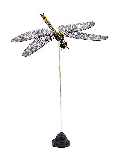 Compsognathus longipes
