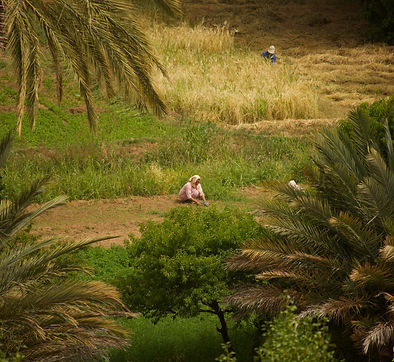 MLP | Magalie Lafleur Photography Travel About Morocco