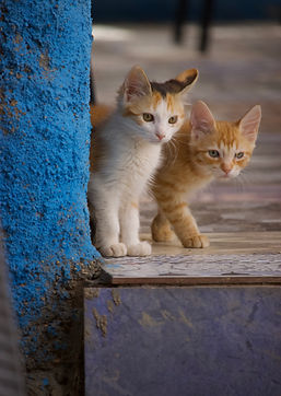 MLP | Magalie Lafleur Photography Travel About Morocco