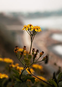 MLP | Magalie Lafleur Photography Travel About South america 