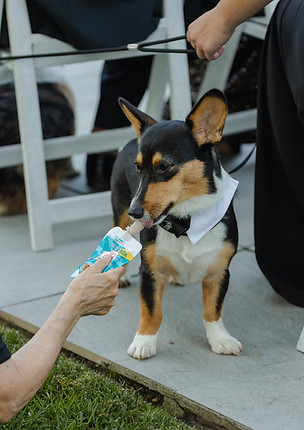 Magalie Lafleur Photography | NYC Wedding The Manson Glen Cove Documentary style Luxury Timeless Elegant