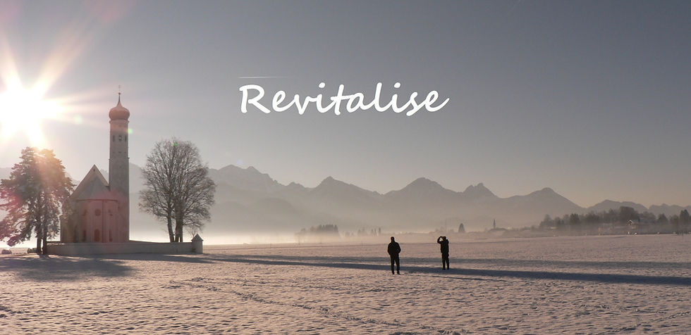 "Revitalise" The Rubble or the Dream? By Dr Ian Duncum