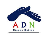 LOgo Adn__edited.jpg