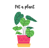 18.png