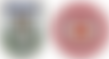 Justiça do Rio de Janeiro suspende limite de idade para concursos da PMERJ e CBMERJ