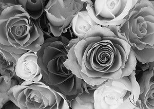 flowers.jpeg