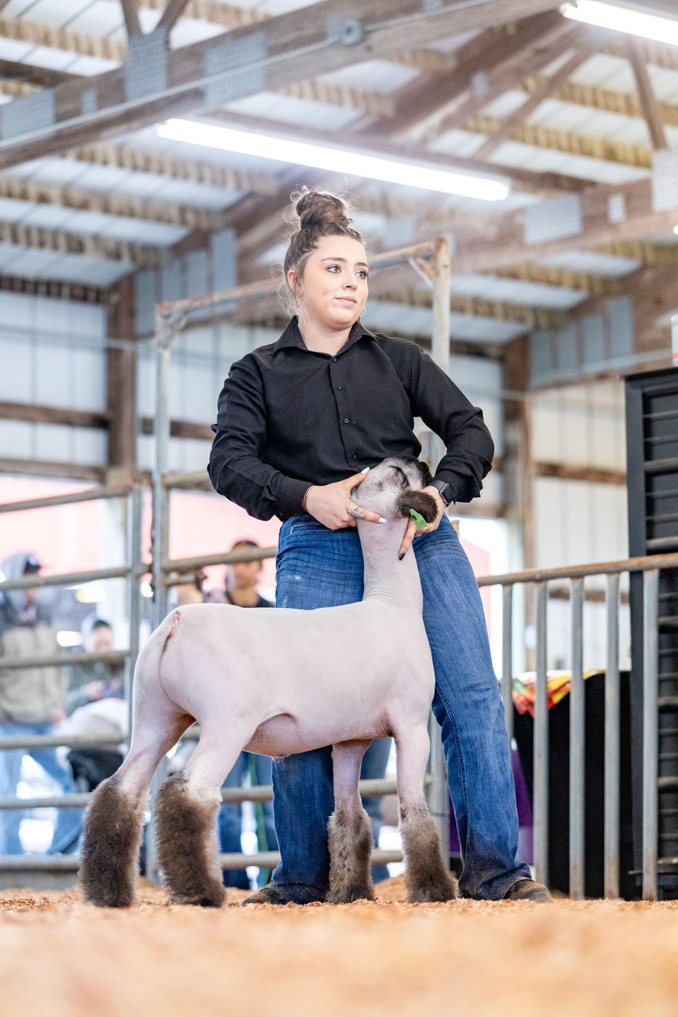Showman images from 2025 Cowley County Classic in Winfield, Kansas