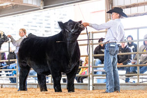 Showman images from 2025 Cowley County Classic in Winfield, Kansas