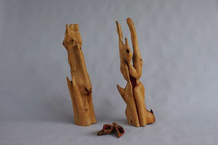Les traversés, 2014 Bois (prunier), 103 x 80 x 25 cm.jpg