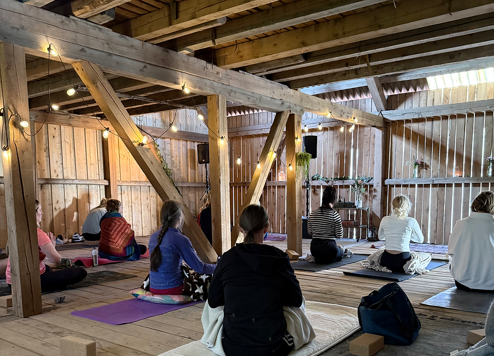 90 min. Jivamukti yoga med Delphine