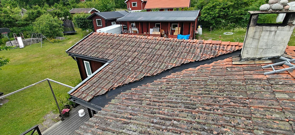 Bandtäckning i sommarskenet