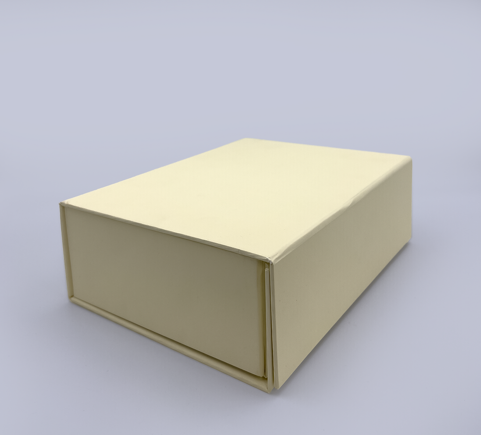 Thumbnail: Magnetic Closure Box