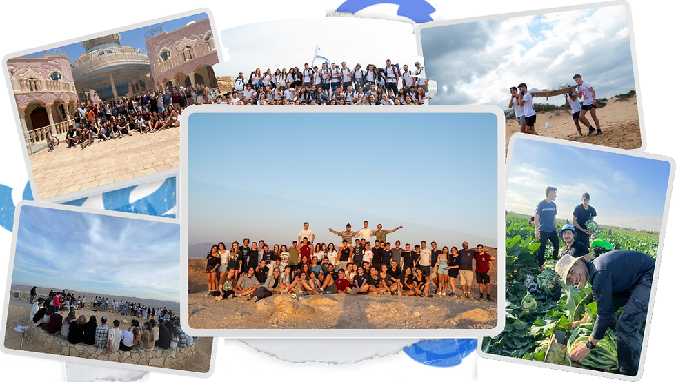 Untitled design (22).png