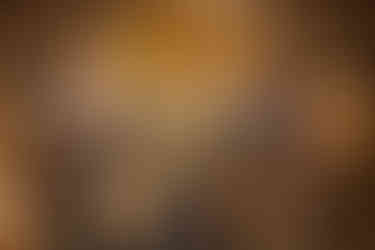 732050616_1624533349681247_8227646489836615558_n
