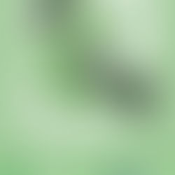 PODCAST ¿ES NETA? ¡ESCÚCHATE! Legalización de la Marihuana