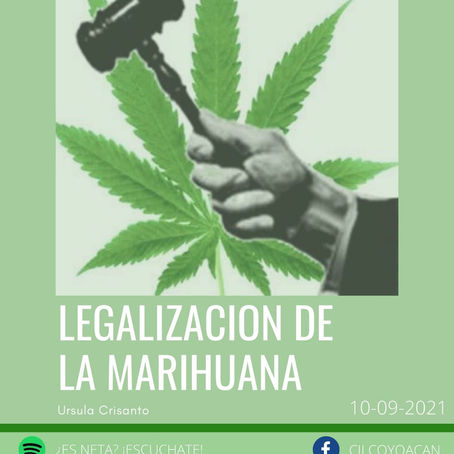 PODCAST ¿ES NETA? ¡ESCÚCHATE! Legalización de la Marihuana
