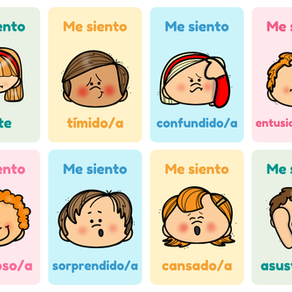 ¿Qué son las emociones?
