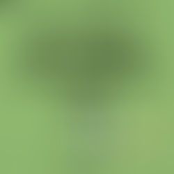 Datos Alarmantes sobre el consumo del tabaco. 