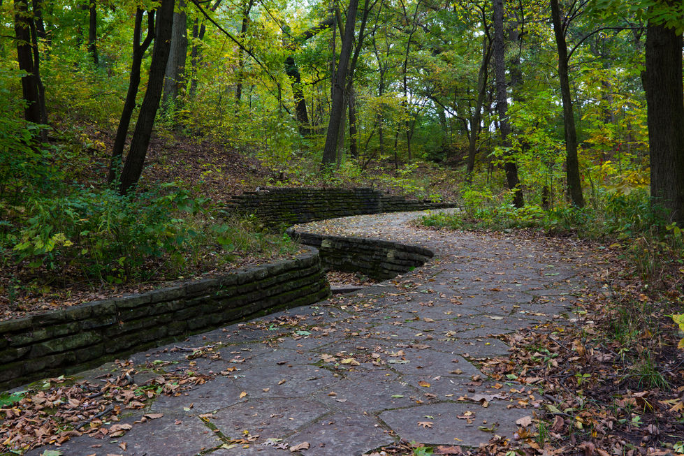 Beverly Woods Autumn