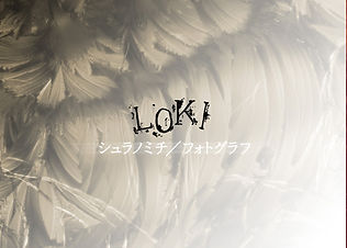 LOKI-0003.jpg