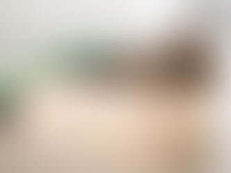 Everything You Need to Know About Grain Free Cat Food