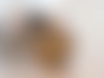 What To Keep In Mind While Preparing All Natural Cat Food