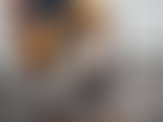 How to Transition Your Cat to a New Cat Food