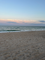 Reiki and Restore beach session at Assateague State Park Maryland