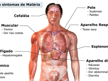 FONTE: https://www.nescon.medicina.ufmg.br/biblioteca/imagem/Sinais-sintomas-malaria.png