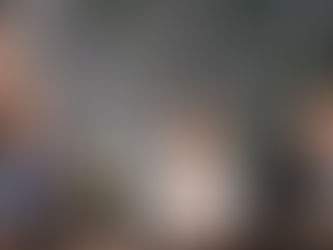 Elena Udrea, Rudel Obreja și restul inculpaților din Gala Bute revin în penitenciar