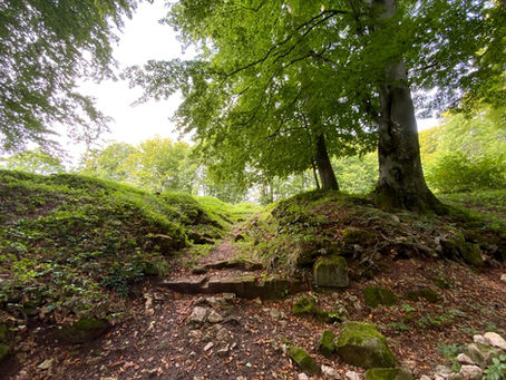 Cercetări arheologice reluate în cetatea dacică de la Luncani – Piatra Roşie